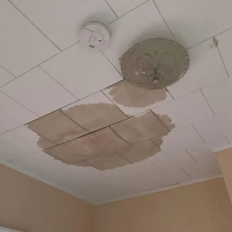 Ceiling Water Damage Repair in Burnet County, TX