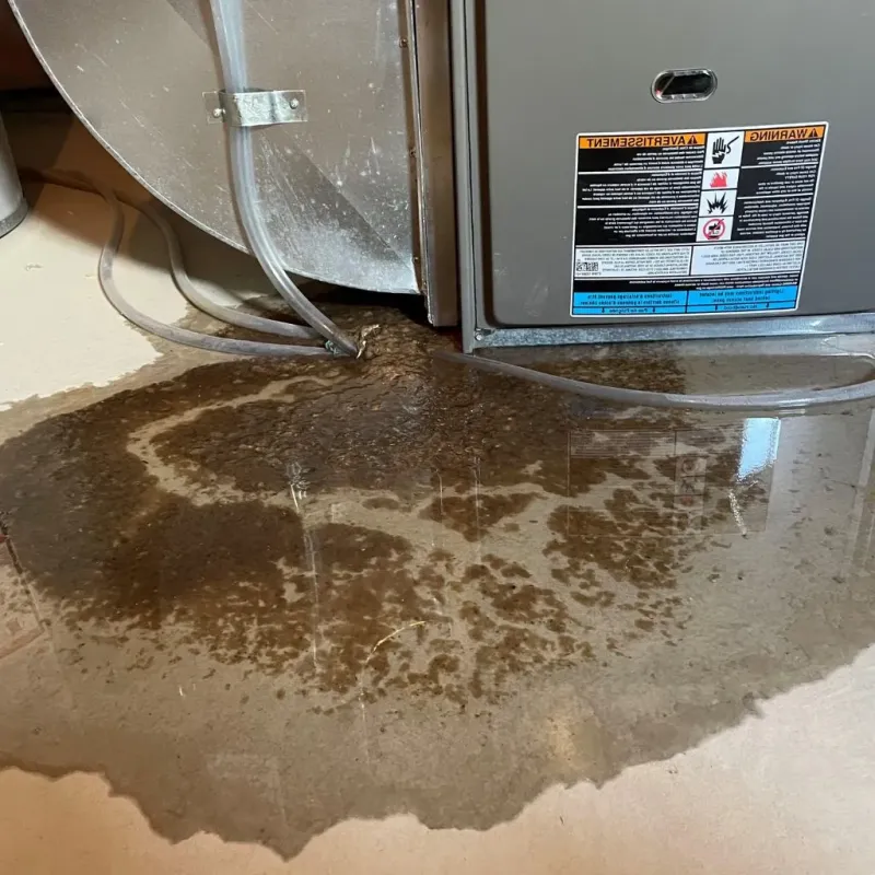 Pipe Burst and Leak Restoration in Burnet County, TX