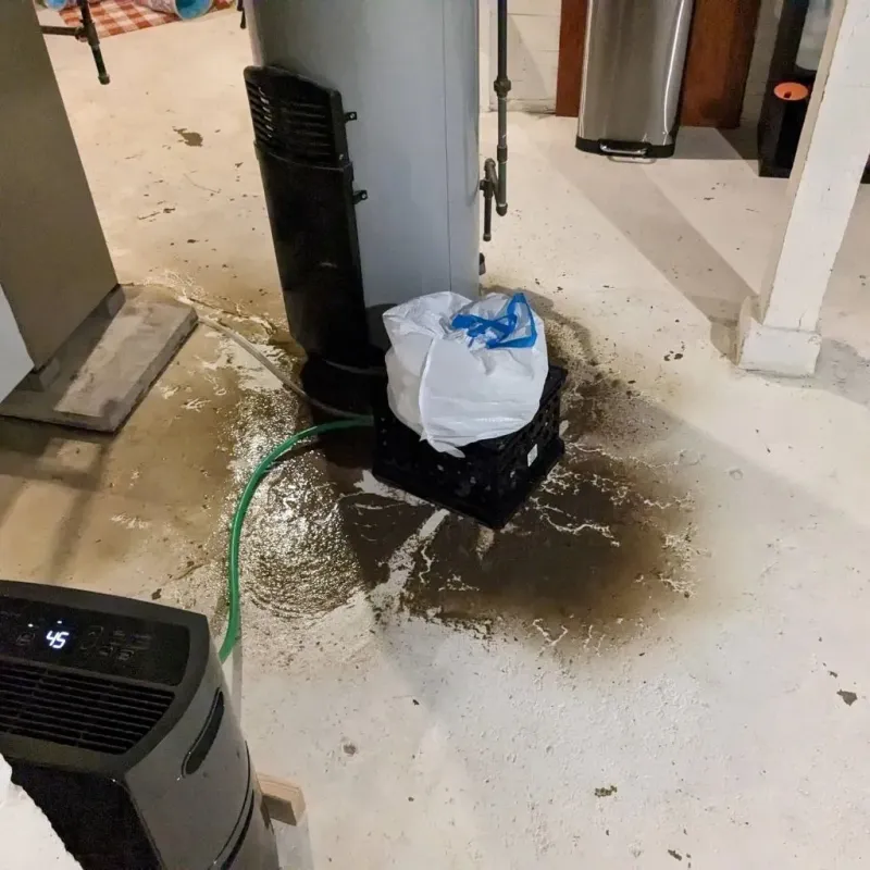 Sewage Backup Cleanup Service in Burnet County, TX